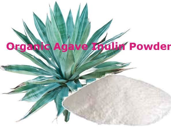 How to use agave inulin powder
