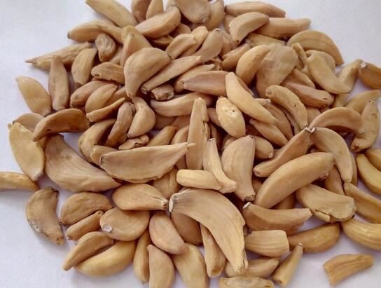 freeze dried garlic bulk.jpg