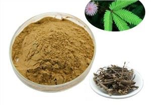 Корен коре коре Мимозе Хостилис