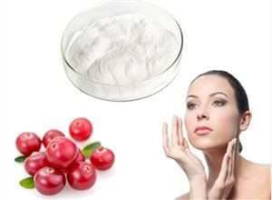 Органски екстракт медвјеђег бобица