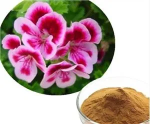 Екстракт Пеларгониум Сидоидес